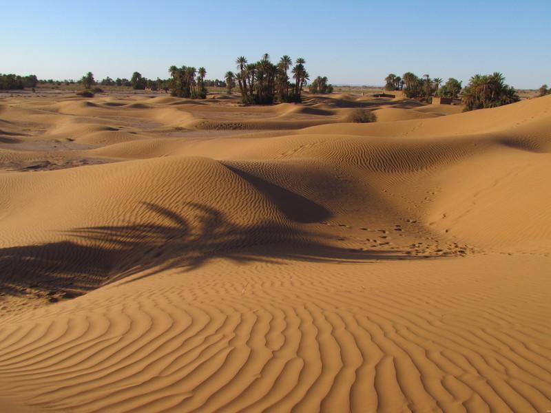 Riad La Maison Du Desert Oulad Driss Exterior foto